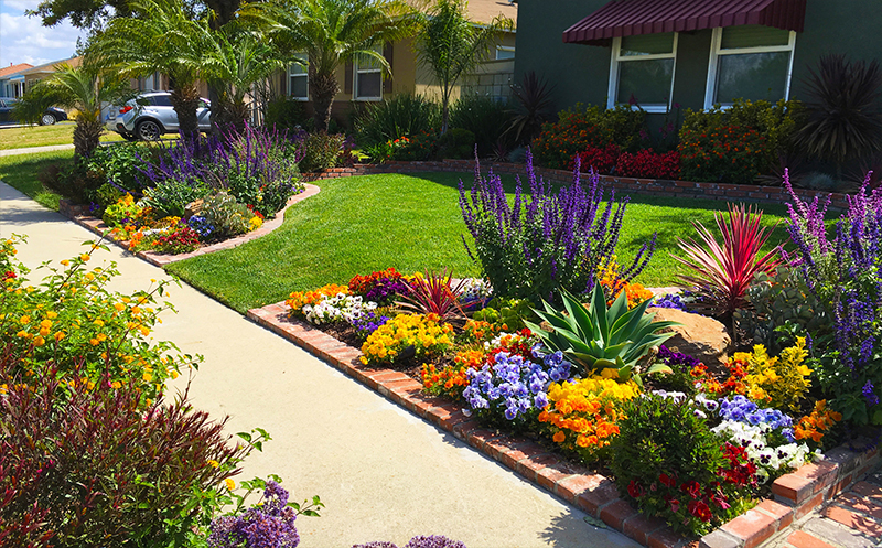 landscape-curb-appeal-retina_retina_f09021ca6edac80b70f3a5b5092c4059.jpg